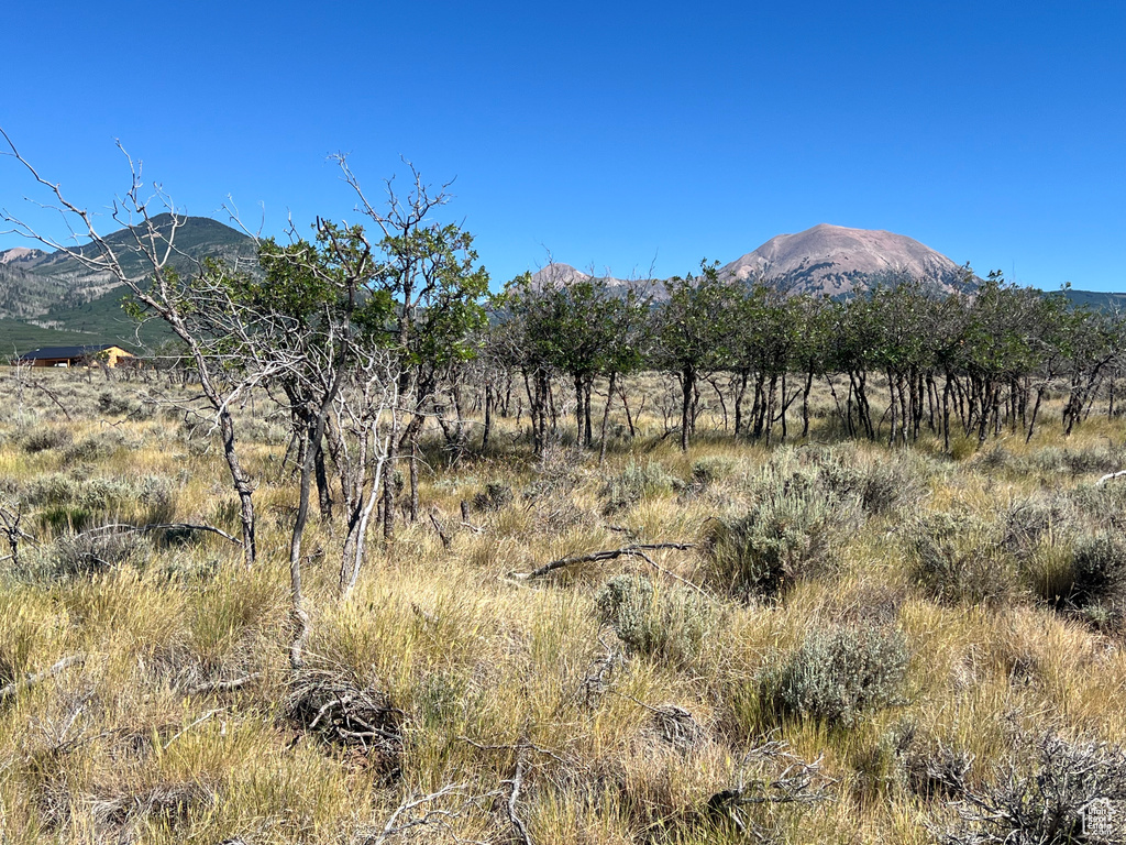 32  PORPUPINE LN La Sal, UT 84530