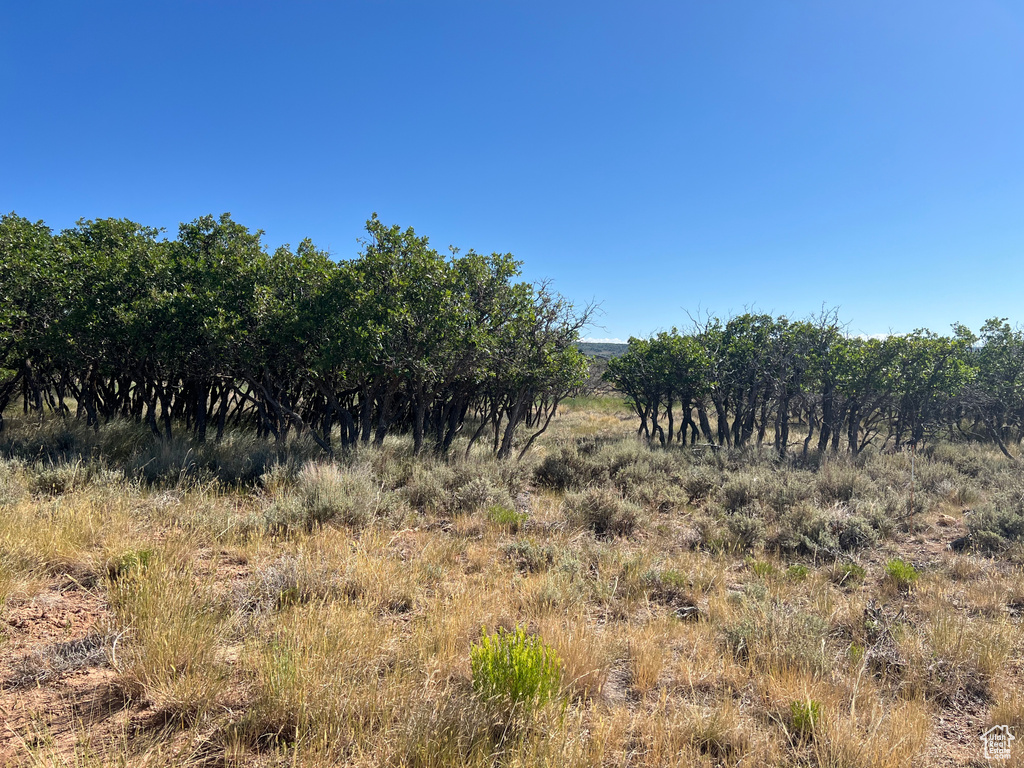 32  PORPUPINE LN La Sal, UT 84530