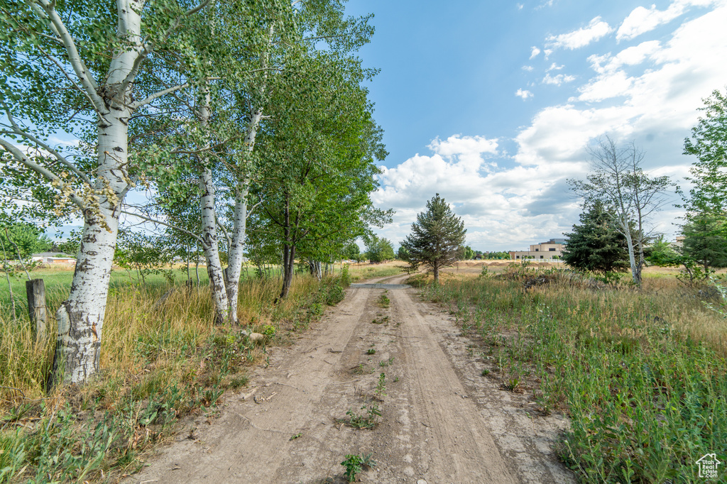 1254 E 300 N American Fork, UT 84003