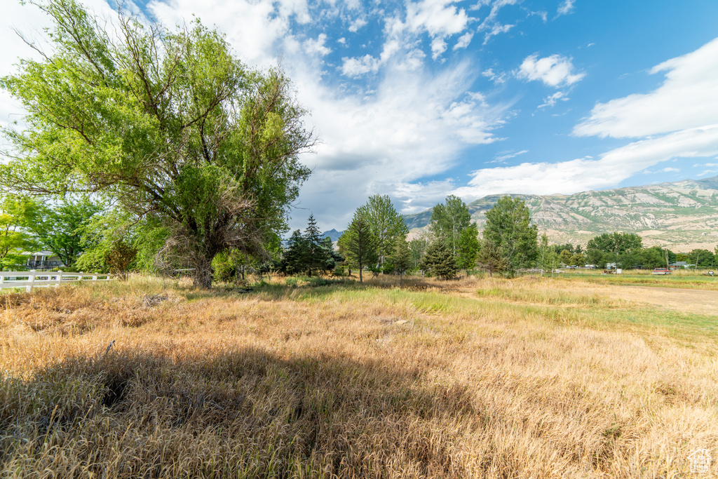 1254 E 300 N American Fork, UT 84003