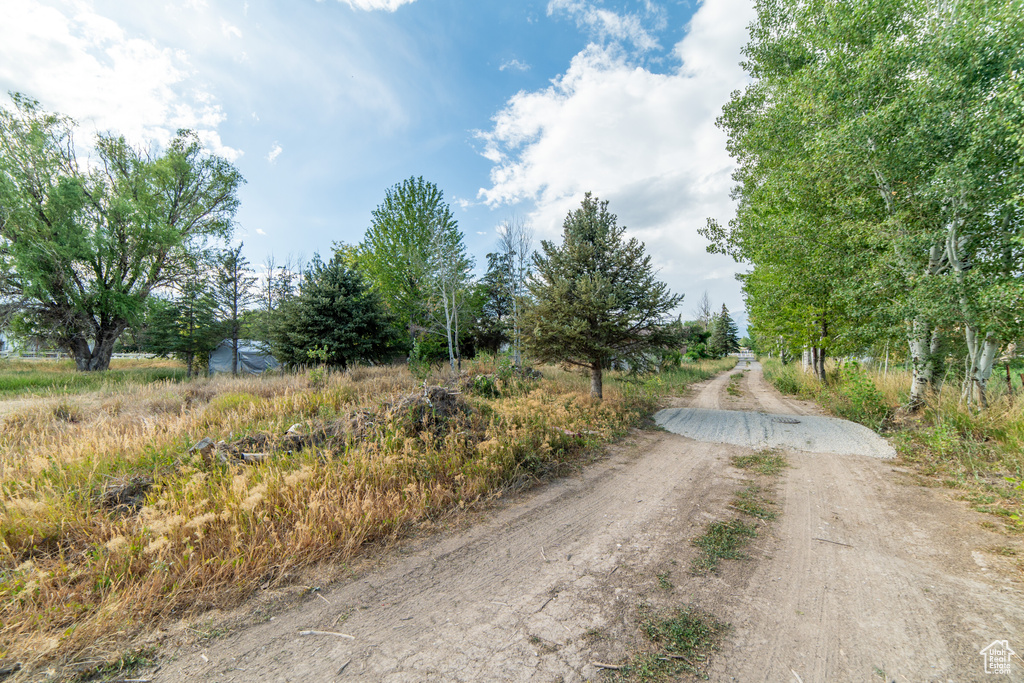 1254 E 300 N American Fork, UT 84003
