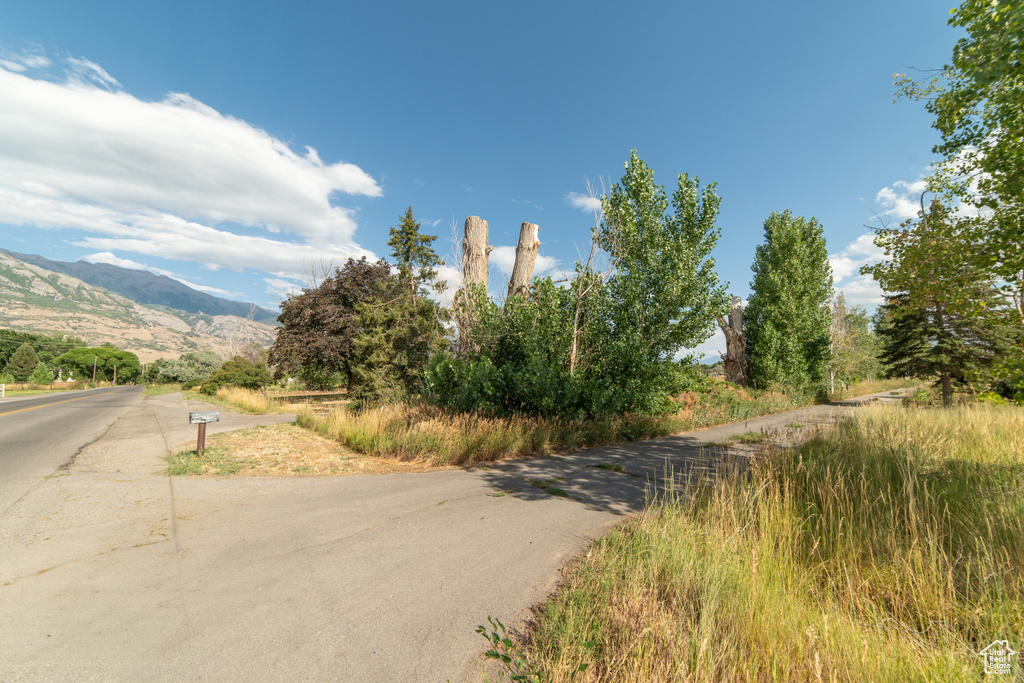 1254 E 300 N American Fork, UT 84003