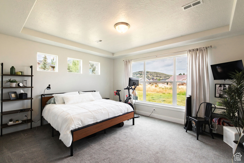 1128 N SPRINGER LOOP LOOP Midway, UT 84049