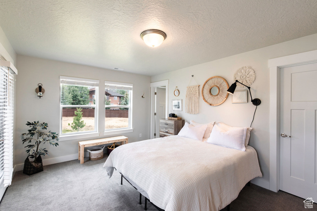 1128 N SPRINGER LOOP LOOP Midway, UT 84049