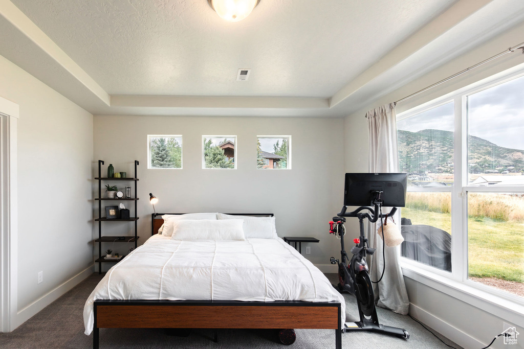 1128 N SPRINGER LOOP LOOP Midway, UT 84049