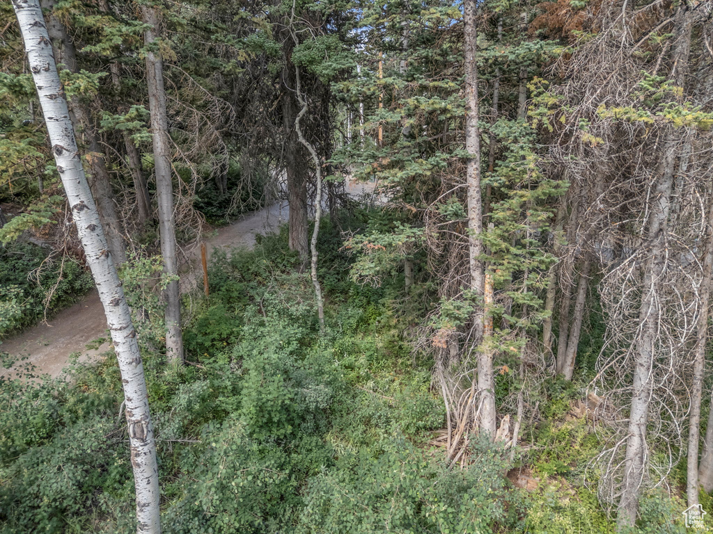 9281 E FOX HAVEN LN Brighton, UT 84121