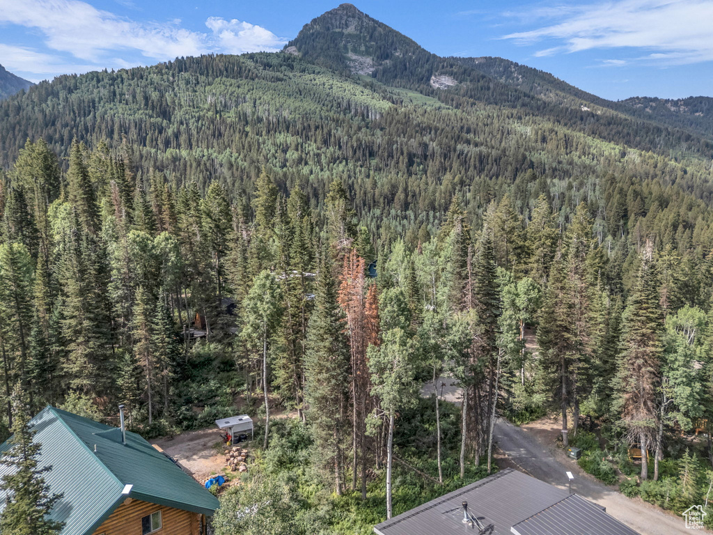9281 E FOX HAVEN LN Brighton, UT 84121