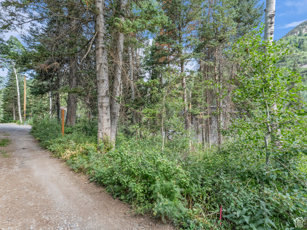 9281 E FOX HAVEN LN Brighton, UT 84121