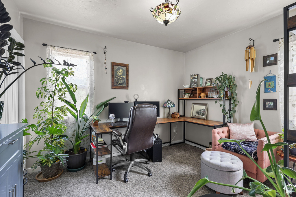 25 W 400 S Tremonton, UT 84337