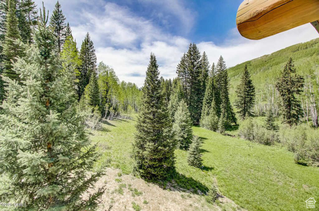 7102 S STELLER JAY WAY Brighton, UT 84121