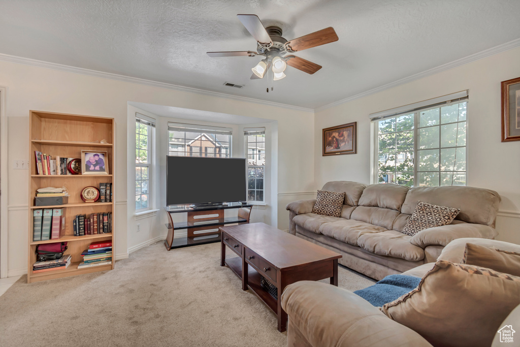 1046 S 810 E Provo, UT 84606