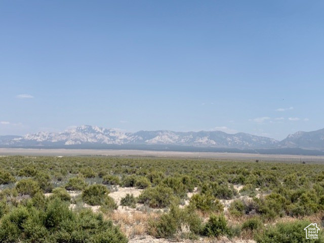  Milford, UT 84751