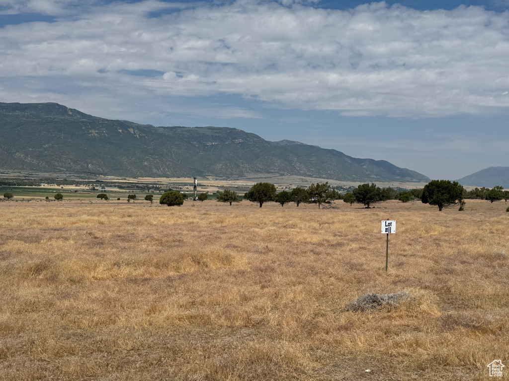 22215 N 2221 E Fountain Green, UT 84632