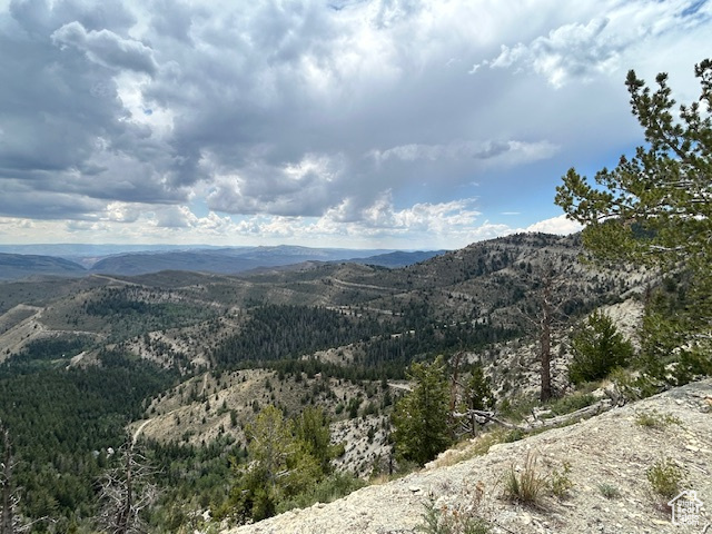  Duchesne, UT 84021