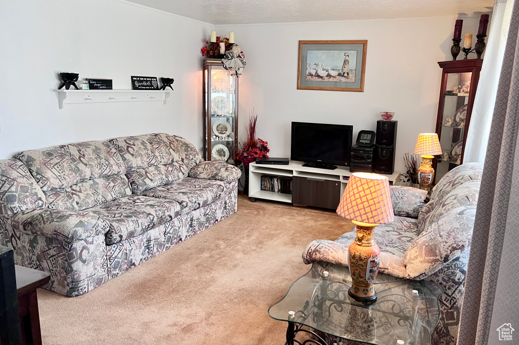 790 N VALLEY DR Castle Dale, UT 84513