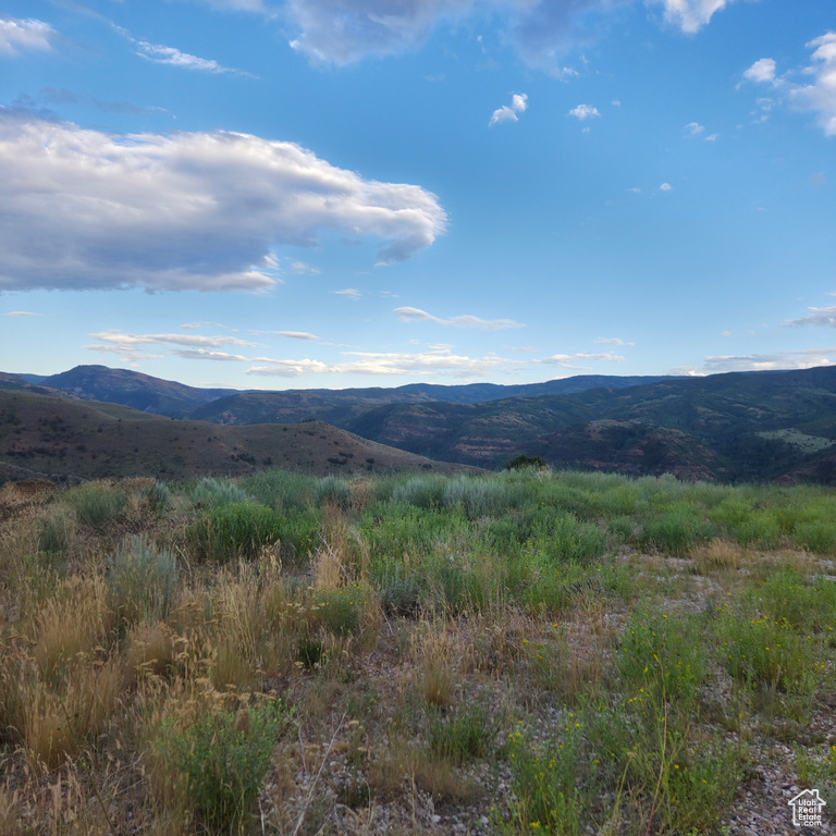 13319 E OAK CANYON RD Huntsville, UT 84317