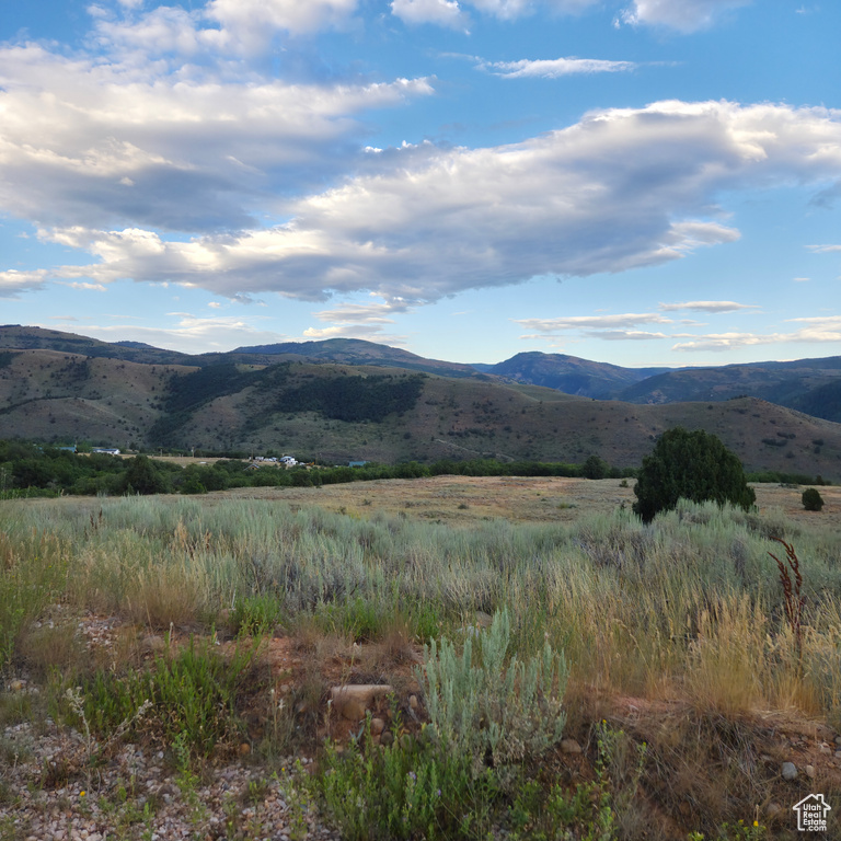 13319 E OAK CANYON RD Huntsville, UT 84317