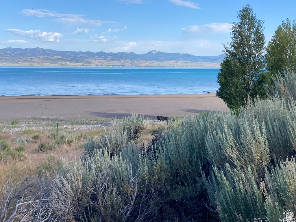 45  THISTLE ALY Saint Charles, ID 83272