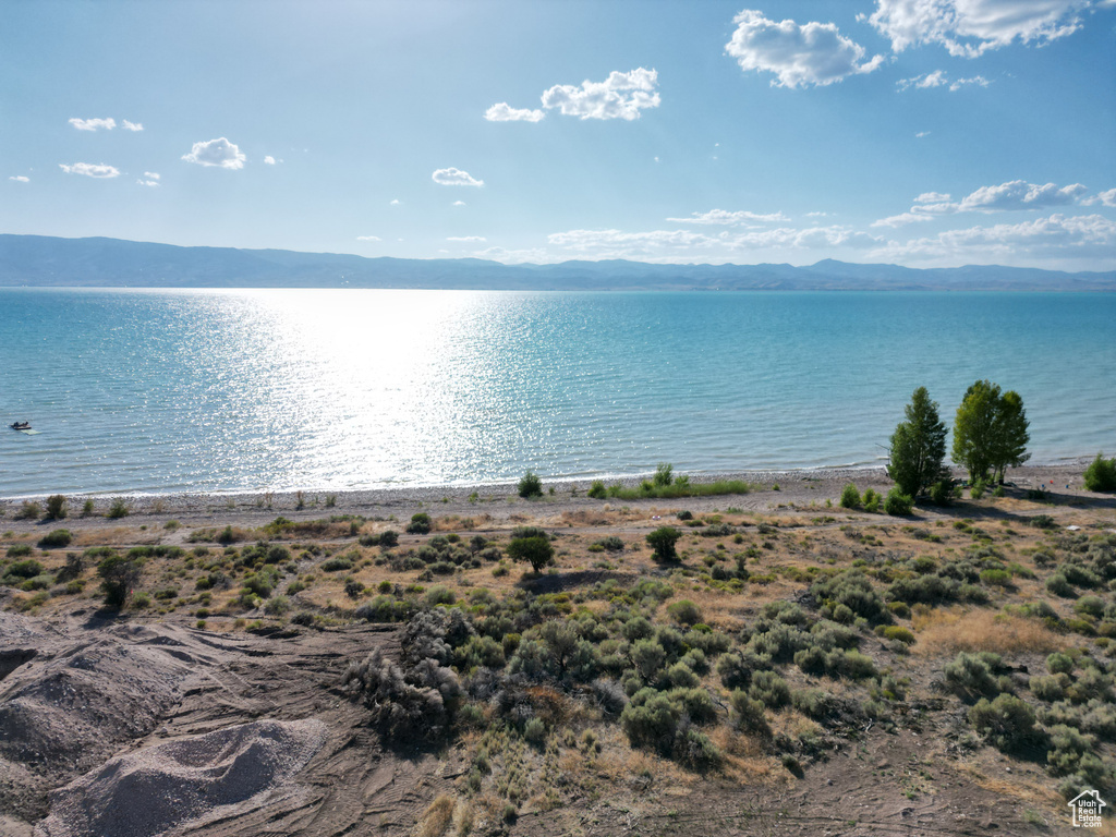 45  THISTLE ALY Saint Charles, ID 83272
