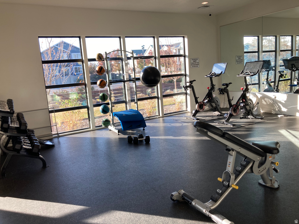 37 E 670 N Vineyard, UT 84059