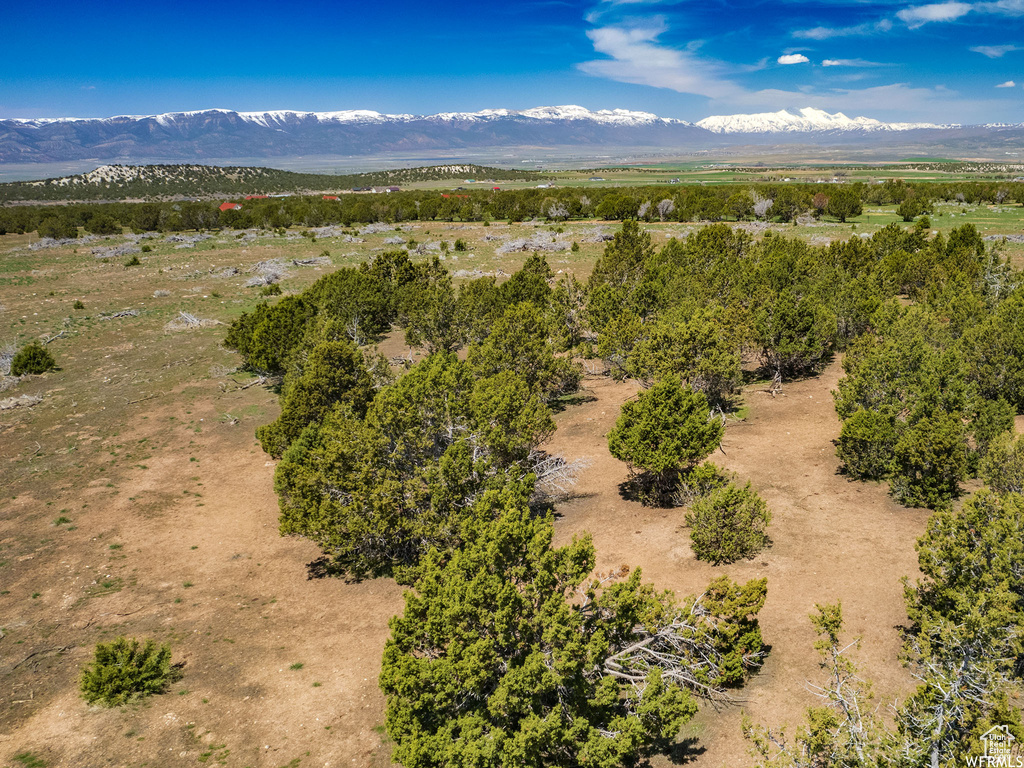 7000 E 110000 #3 Spring City, UT 84662
