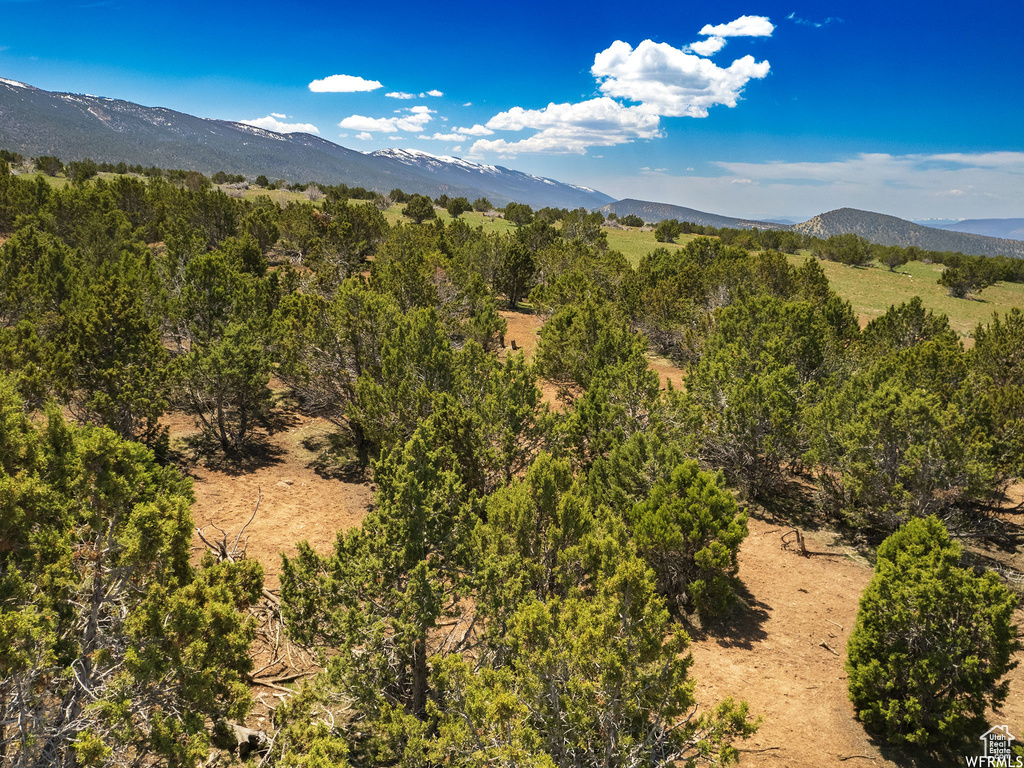 7000 E 110000 #3 Spring City, UT 84662