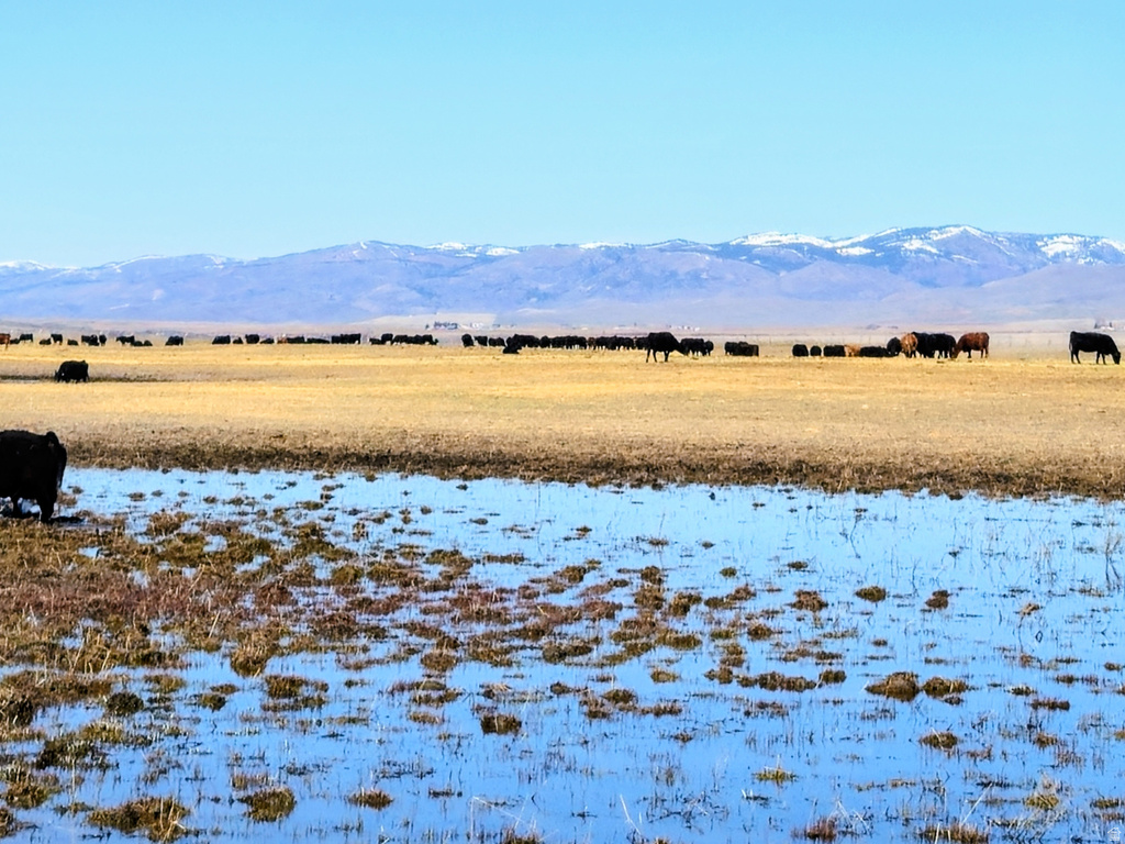 950  BERN RD Montpelier, ID 83254