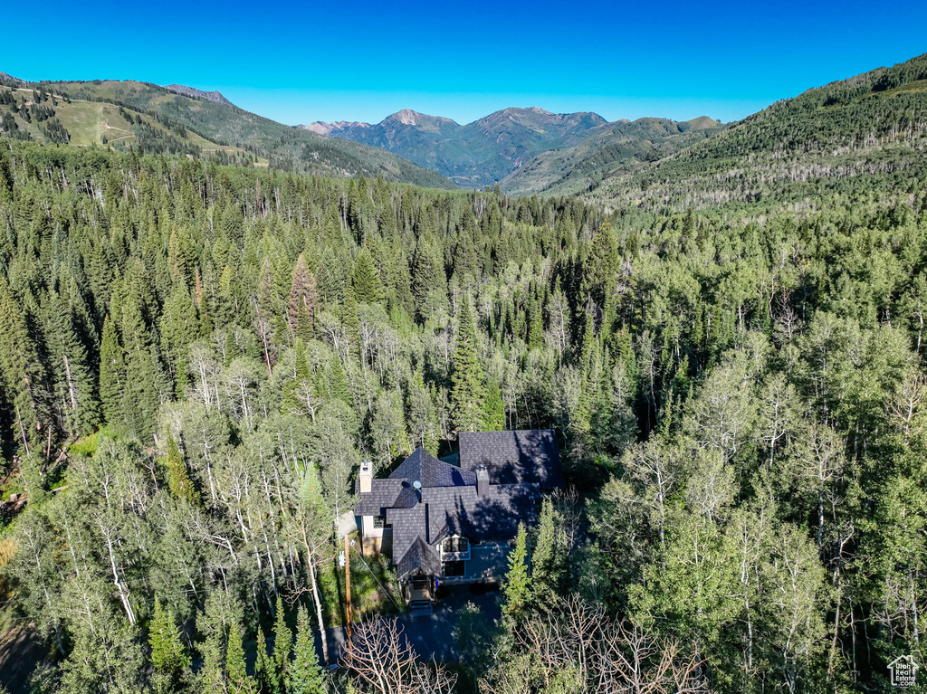 12621 E OLD STAGE RD Brighton, UT 84121