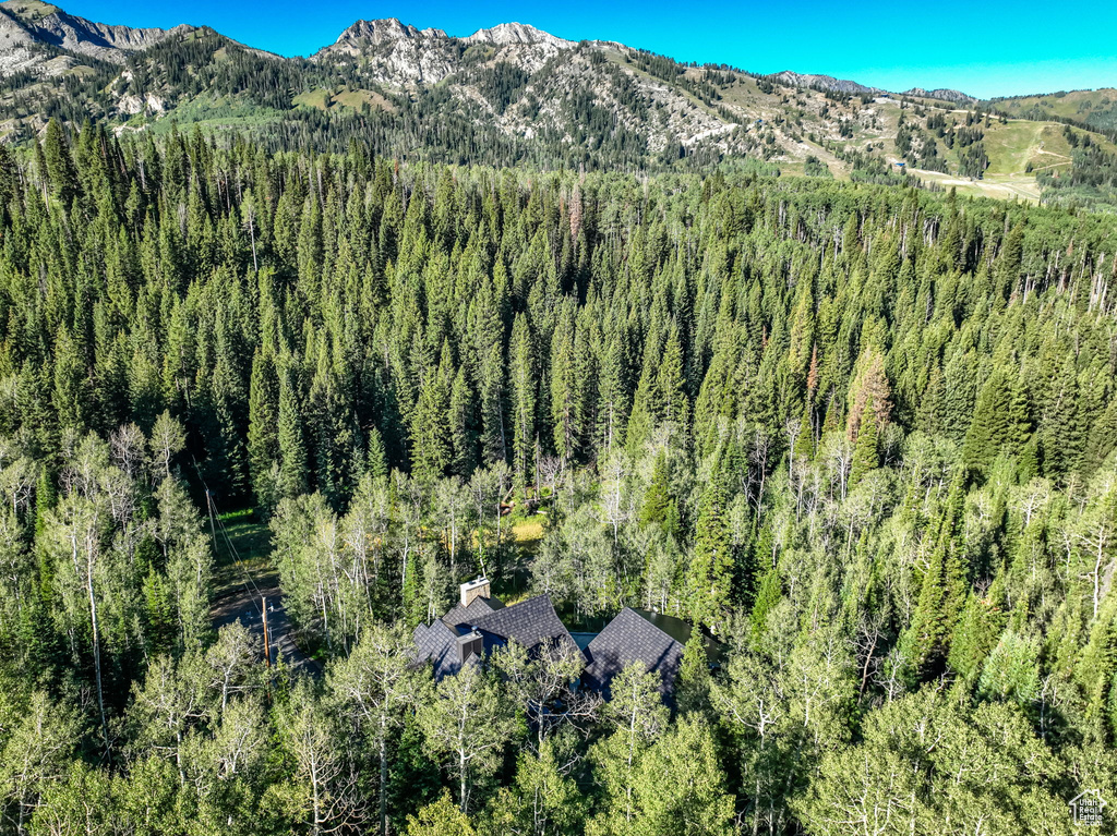 12621 E OLD STAGE RD Brighton, UT 84121
