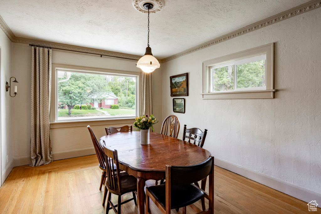 262 S 100 W American Fork, UT 84003