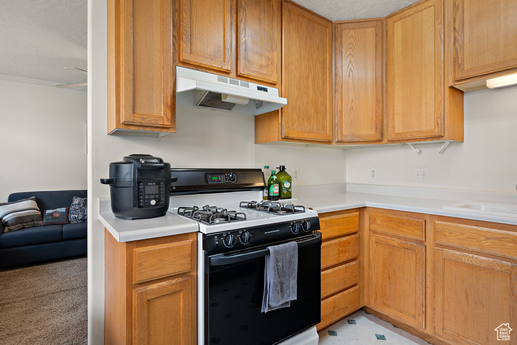 543 N 790 E #109 Provo, UT 84606