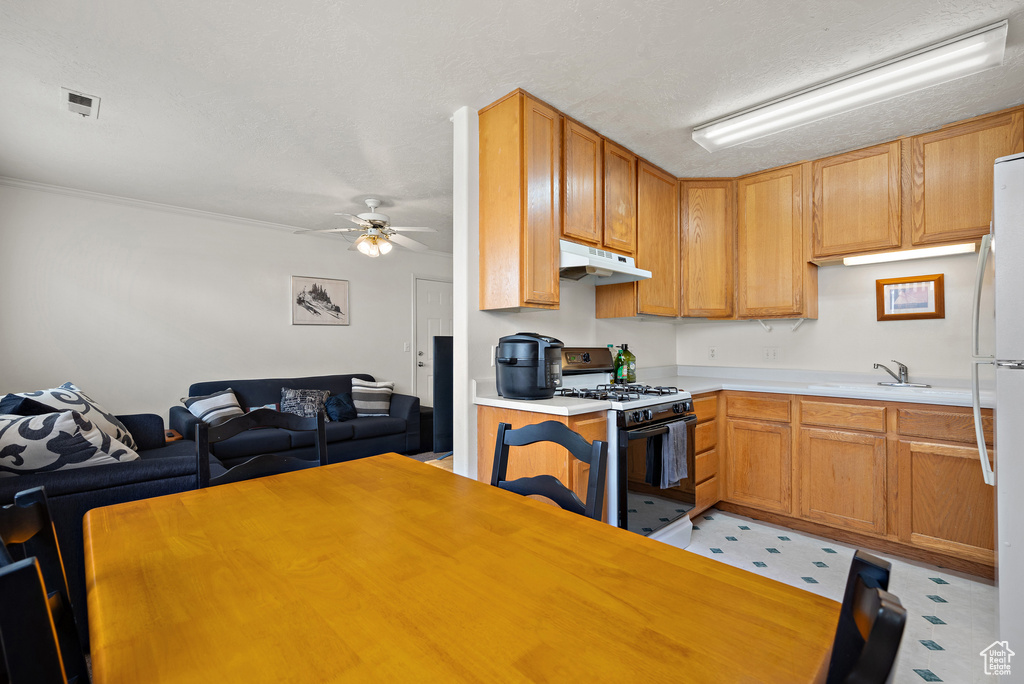 543 N 790 E #109 Provo, UT 84606
