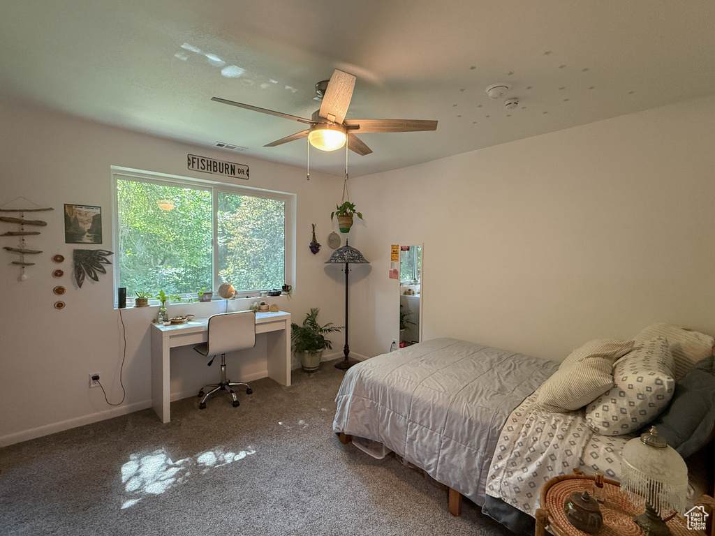 1120 CANYON RD #2 Ogden, UT 84404