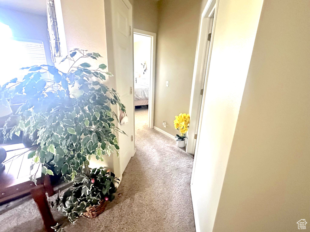 1162 E 6600 S #311 Murray, UT 84121