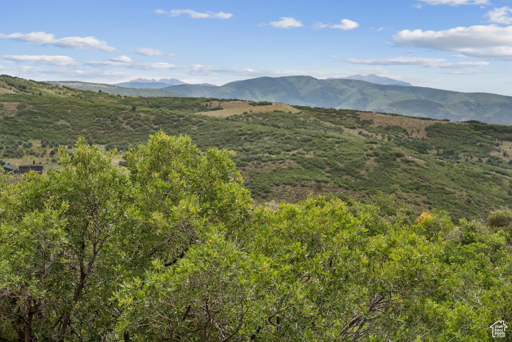 1420 S BEAVER BENCH RD #1306 Heber City, UT 84032