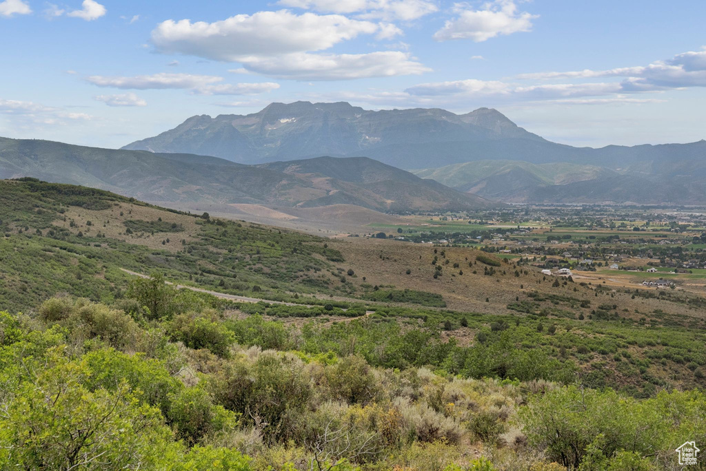 1420 S BEAVER BENCH RD #1306 Heber City, UT 84032
