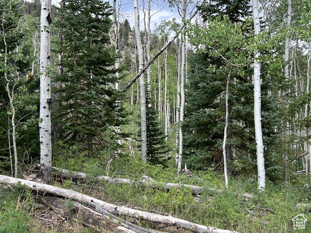  Duchesne, UT 84021