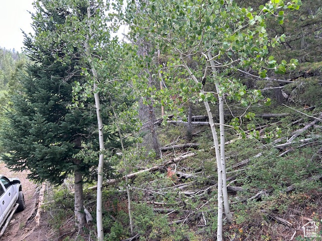  Duchesne, UT 84021