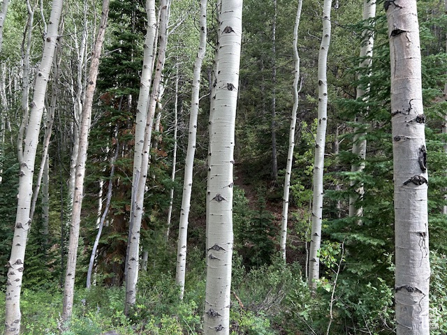  Duchesne, UT 84021