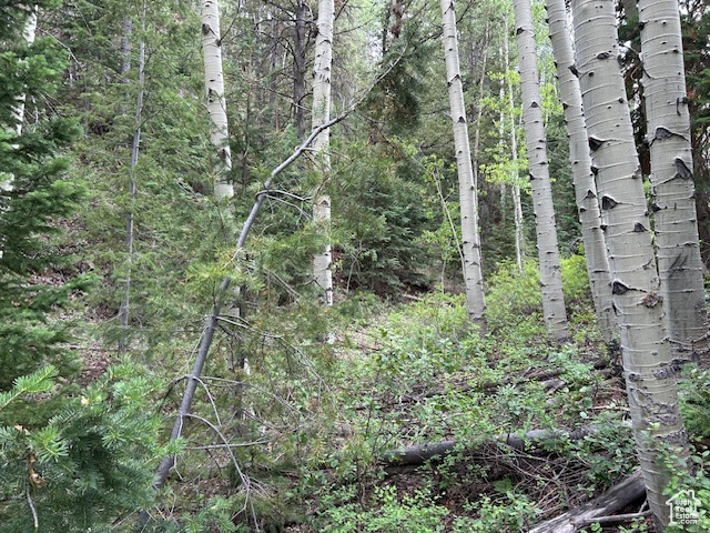  Duchesne, UT 84021