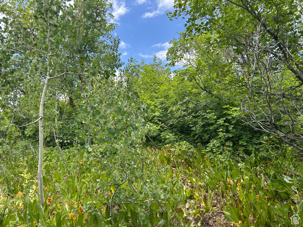  Montpelier, ID 83254