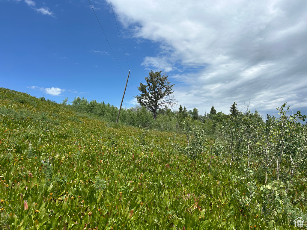  Montpelier, ID 83254