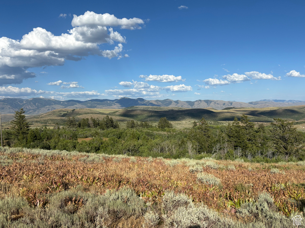 Montpelier, ID 83254