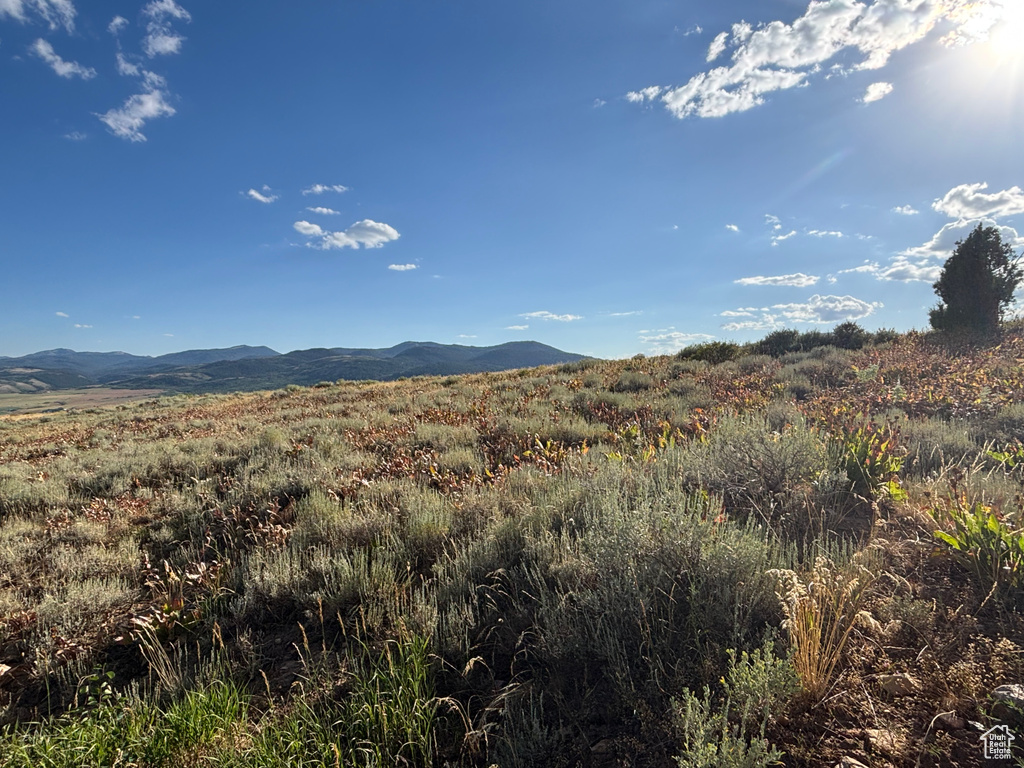  Montpelier, ID 83254