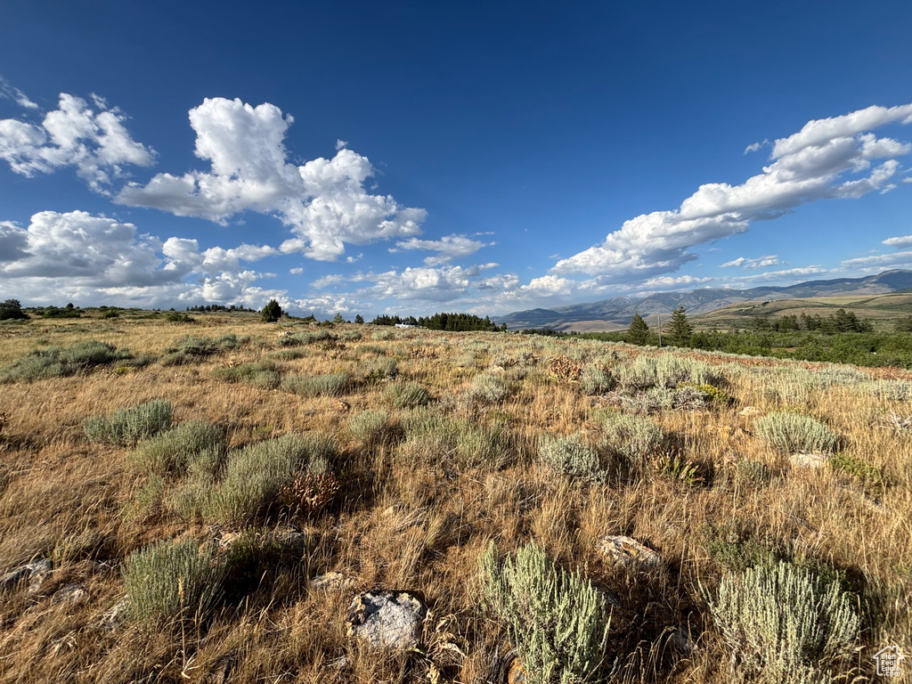 Montpelier, ID 83254