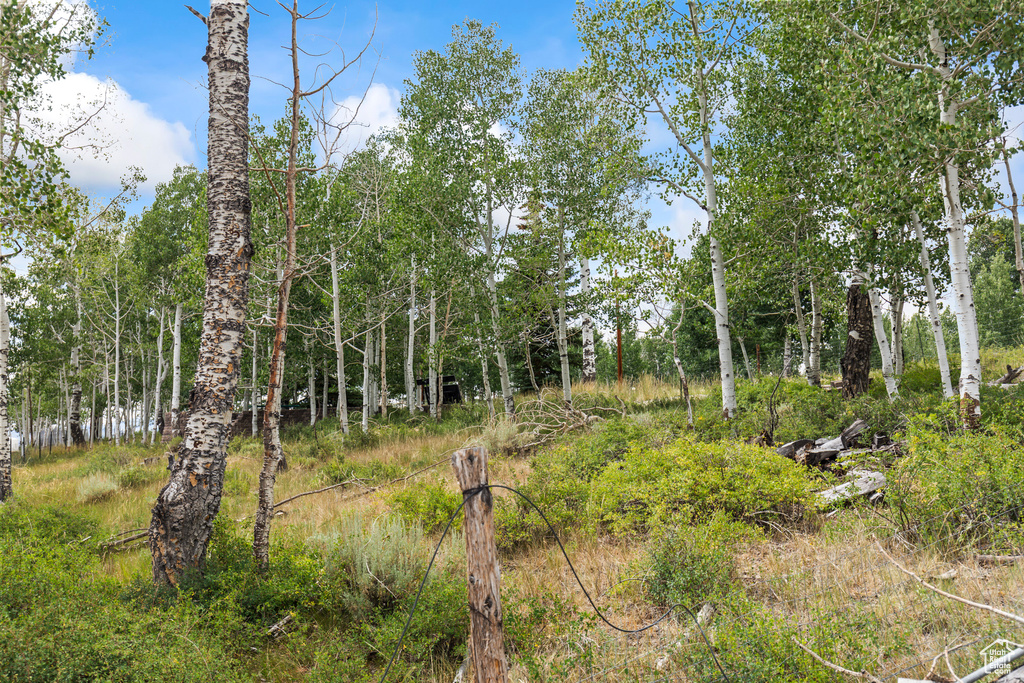  Fish Lake, UT 84701