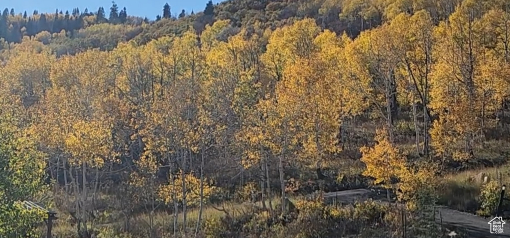10452 N BASIN CANYON RD Park City, UT 84098