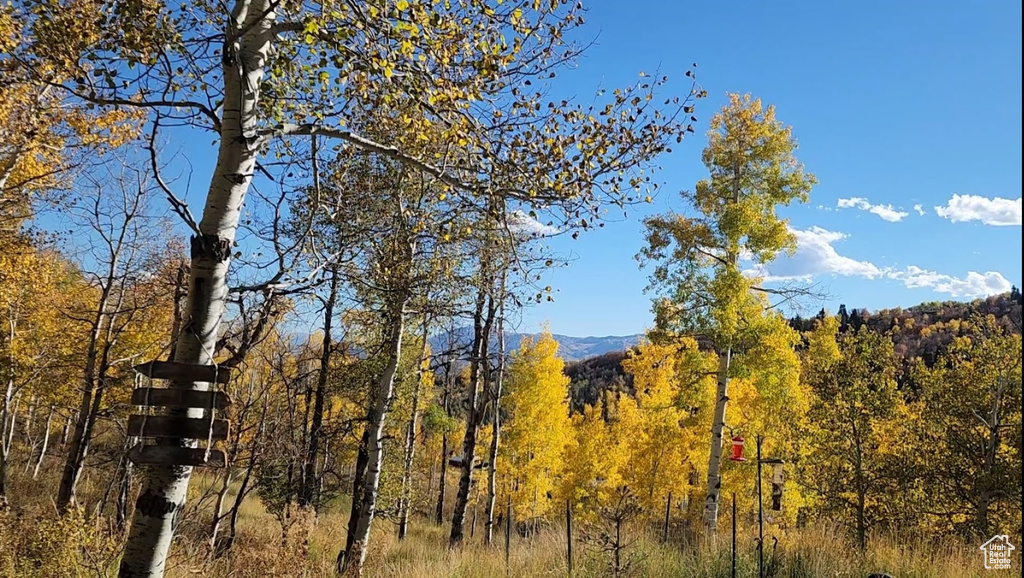 10452 N BASIN CANYON RD Park City, UT 84098