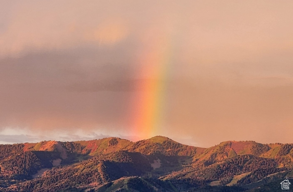 10452 N BASIN CANYON RD Park City, UT 84098