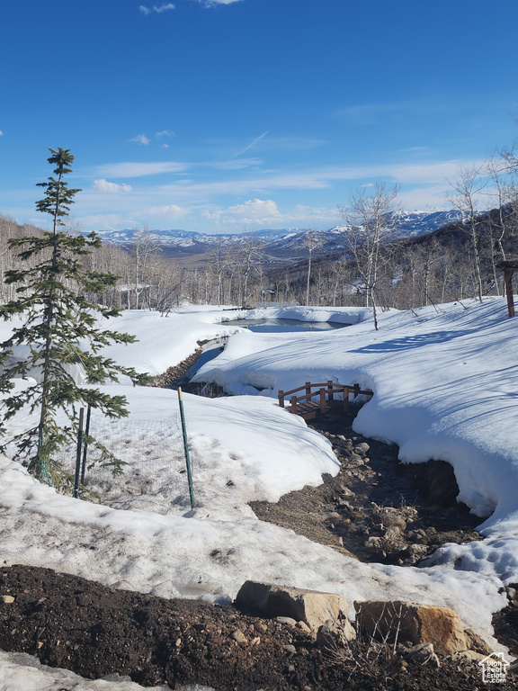10452 N BASIN CANYON RD Park City, UT 84098